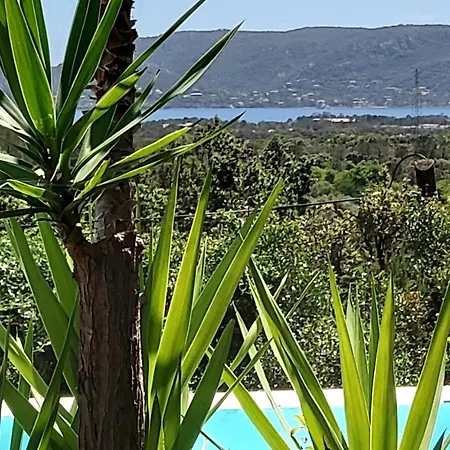 Anchorage Vue Panoramique Piscine A Debordement Privee Villa Porto-Vecchio (Corsica)