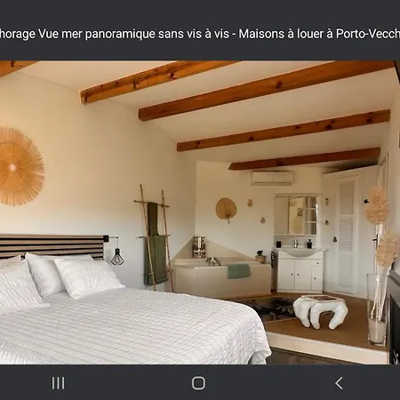 Anchorage Vue Panoramique Roof Piscine A Debordement Porto Vecchio