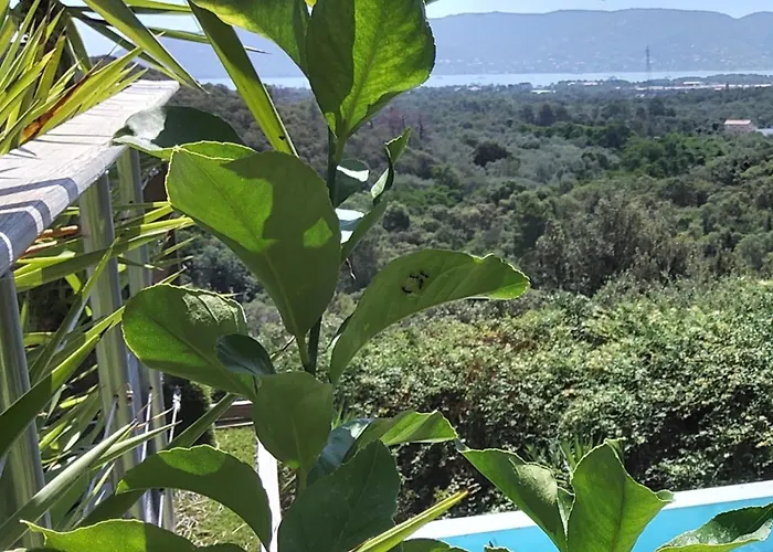 Anchorage Vue Panoramique Roof Piscine A Debordement * Porto-Vecchio (Corsica)